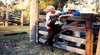 Minmore Farmstay Bed and Breakfast