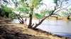 Combo Conservation Park