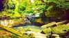 Carnarvon Gorge, Carnarvon National Park
