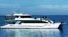 Hervey Bay Whale Watch Quick Cat II