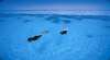 Fitzroy Reef