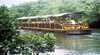 Daintree Rainforest River Trains