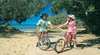 Bay Bicycle Hire