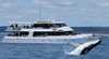 Mikat Whale Cruises