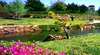 Japanese Gardens