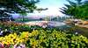 Picnic Point Lookout And Parkland