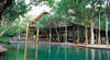 Cape Tribulation Resort and Spa