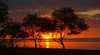 Cape York Safaris