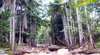 Finch Hatton Gorge Cabins