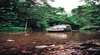 Paluma and Crystal Creek Rainforest