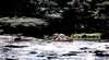 Broken River