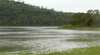 Lake Elphinstone