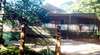 Bunya Forest Gallery and Tearoom