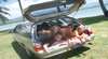 Travellers Auto Barn Cairns