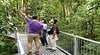 Daintree Discovery Centre