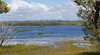 Lake Barfield