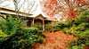 Annerley B & B "Ridge Haven"
