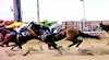 Birdsville Races