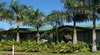 Kinnon and Co Outback Lodges