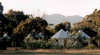 Stirling Range Retreat