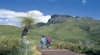 Stirling Range National Park