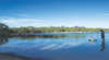 Lake Leschenaultia
