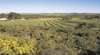 Chapman Valley Scenic Drive