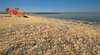 Shell Beach