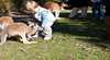 Caversham Wildlife Park & Zoo