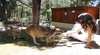 Yelverton Brook Eco Spa Retreat and Conservation Sanctuary