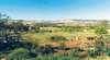 Pecan Hill Bed & Breakfast