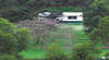 Glenlynn Cottages