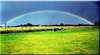 Taunton Farm Holiday Park
