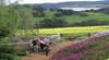 Harvey Hills Farmstay Chalets