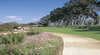 Kings Park Free Guided Walks