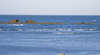 Wreck of SS Mildura