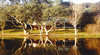 Bushy Lake Chalets
