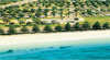 Esperance Seafront Caravan Park and Holiday Units