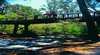 Barrabup Pool