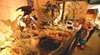 Greenbushes Eco Cultural Discovery Centre