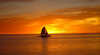 Coastal Adventure Tours