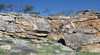 Watheroo National Park