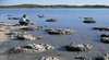 Lake Thetis Stromatolites