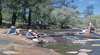 John Forrest National Park