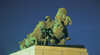 Desert Corps Memorial