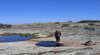 Dingo Rock