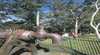 Mundaring Community Sculpture Park
