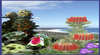 Ravensthorpe Wildflower Show