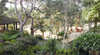 Wildwood Valley Villa and Cottages
