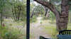 Kerriley Park Forest and Farmstay
